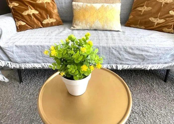 Reel Apartments- Walk To The And Centre * Torrevieja